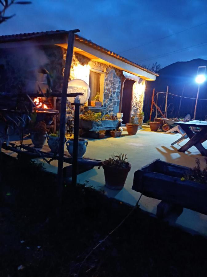 Pietramiliare Apartment Trecase Екстериор снимка