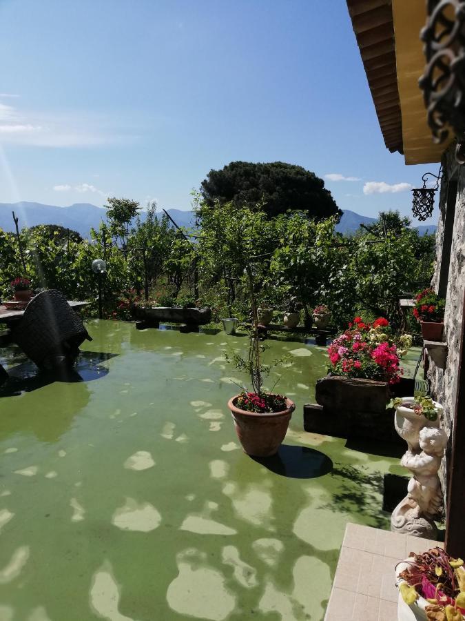 Pietramiliare Apartment Trecase Екстериор снимка